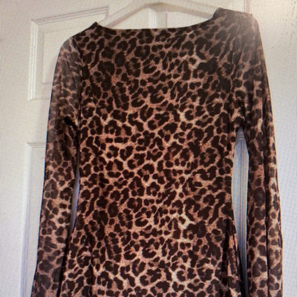 Leopard Print Long Sleeve Dress
